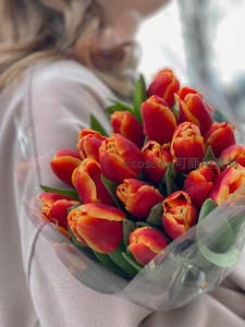 怀抱橙红郁金香的温柔瞬间