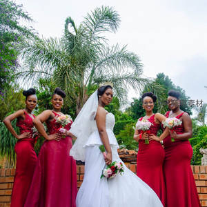 热带花园新娘与伴娘团