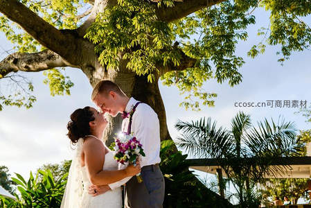 情侣树下相拥亲吻共度良辰