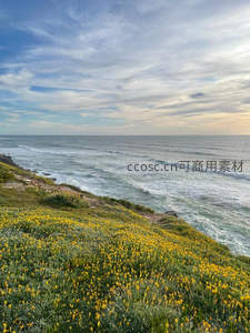 海岸悬崖花满坡，碧海蓝天共一色