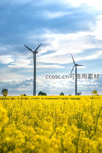 风车矗立油菜花海蓝天白云