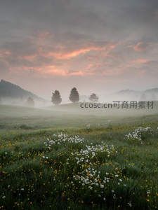 晨雾缭绕山野间，花海如梦似仙境