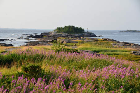 海岸野花盛放，岩石小岛静谧如画