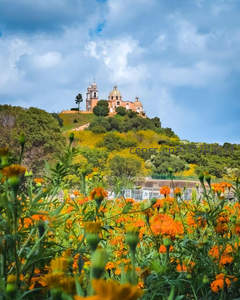 山巅古教堂俯瞰橙花田野，蓝天白云相伴