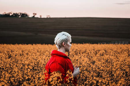 红衣少女伫立金色田野，侧颜如画