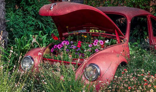 废弃红车变身花园奇景
