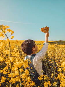 少年举纸飞机，油菜花海放飞童年梦想