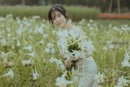 白衣少女怀抱百合立于花田