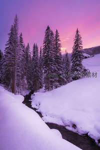 紫霞映雪松林溪涧，冬日黄昏梦幻如诗