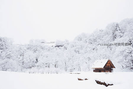 雪野木屋静立林间，银装素裹宛如仙境