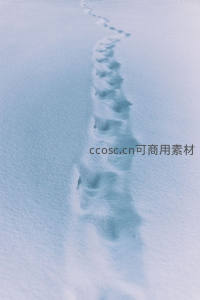 雪地足迹蜿蜒延伸，留下神秘踪迹