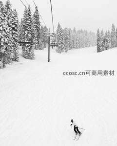 单人滑雪者驰骋雪坡，缆车穿梭林海间