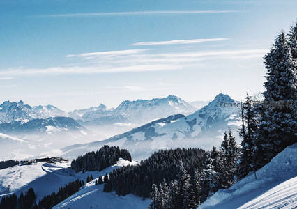 阿尔卑斯雪峰，云海绕林间