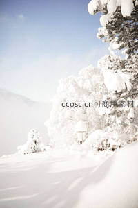 雪覆松林山巅孤灯静谧如画境