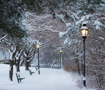 雪夜公园路灯暖光映照静谧小径