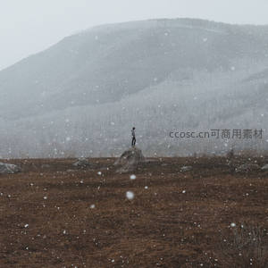 风雪中独站岩石，远眺苍茫山峦