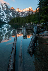 晨光染金山巅湖畔枯木倒影