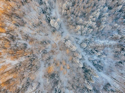 俯瞰雪林如画冬日童话世界