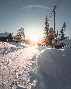 阳光穿透雪原小径