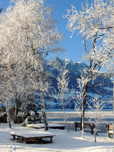 冰枝玉树映雪山，湖畔长椅待游人