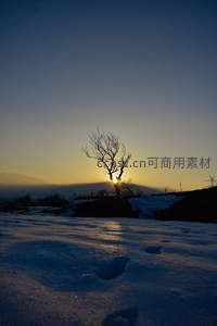 雪原孤树剪影，夕阳余晖洒满山峦