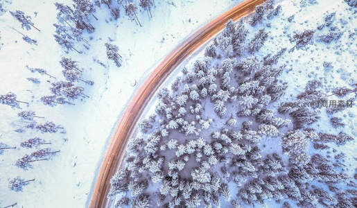 航拍雪林公路，蜿蜒如金丝带