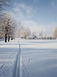 雪径通幽，林间小路蜿蜒入冬日仙境