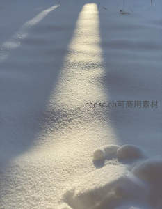 雪地阳光下的温暖足迹