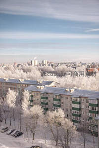 城市覆雪，楼宇披银装