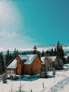 雪覆木屋静谧山林冬日景