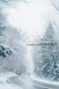雾雪公路穿林，孤车驶向远方