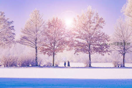 晨光霜林双影漫步