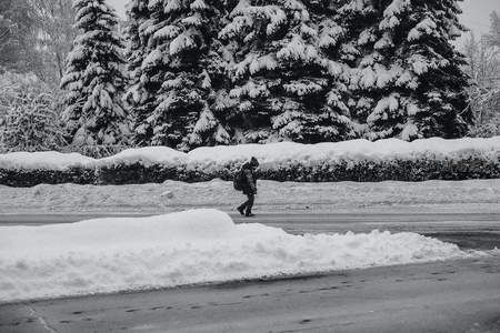 行人踏雪穿行于松林掩映的街角