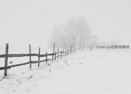 雾雪笼罩的乡村木栅栏与枯树