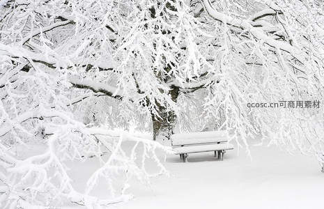 雪覆长椅静谧冬日公园