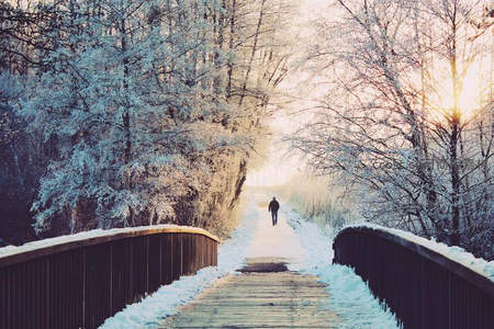 雪中孤影行走在林间木桥上