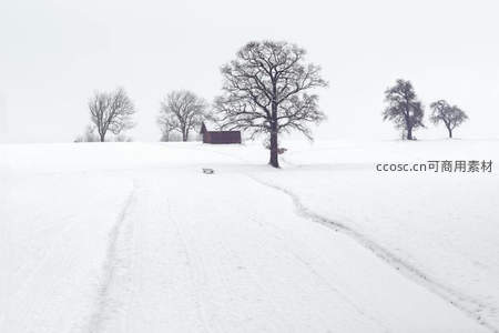 雪原孤树小屋，静谧冬日田园风光