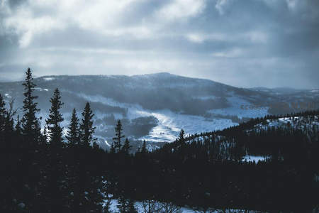 远山云雾缭绕，雪原苍茫无垠