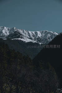 雪峰巍峨，森林幽深的壮丽山景