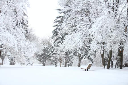 雪覆公园长椅空寂无人