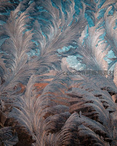 羽毛状霜花构成的抽象画布