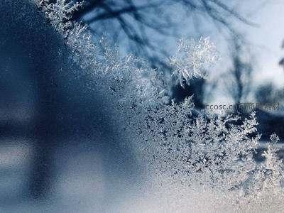 窗上霜花如画，冬日静谧之美