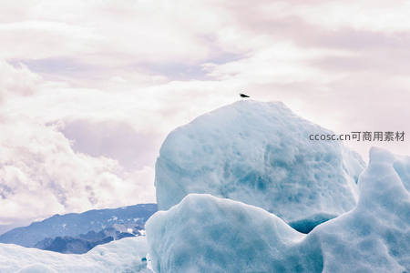 孤鸟栖息冰山之巅，云海苍茫