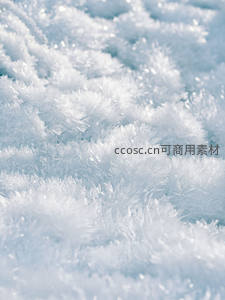 雪晶绒毛般铺展，阳光下闪耀