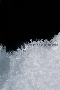 霜花在黑暗中绽放