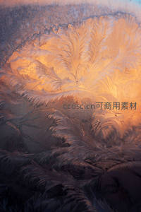 温暖光线下的冰霜羽毛纹理特写