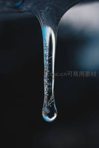 晶莹水滴悬垂于暗色背景前