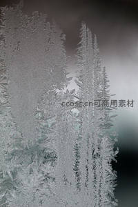 垂直霜纹如森林般蔓延