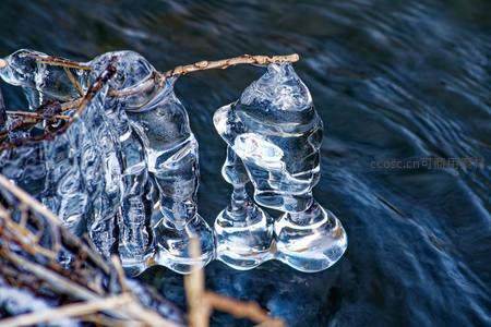 溪水边冰雕奇观，自然艺术杰作
