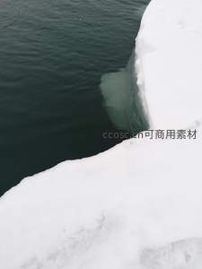 雪白冰崖与深绿海水形成鲜明对比